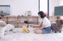 9分钟科普下!西双版纳州门户网_哔哩哔哩-2