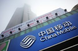 9分钟科普下!西双版纳州门户网_哔哩哔哩